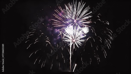 Nighttime Fireworks Display Bursting Against Black Backdrop Showing White And Purple Explosions