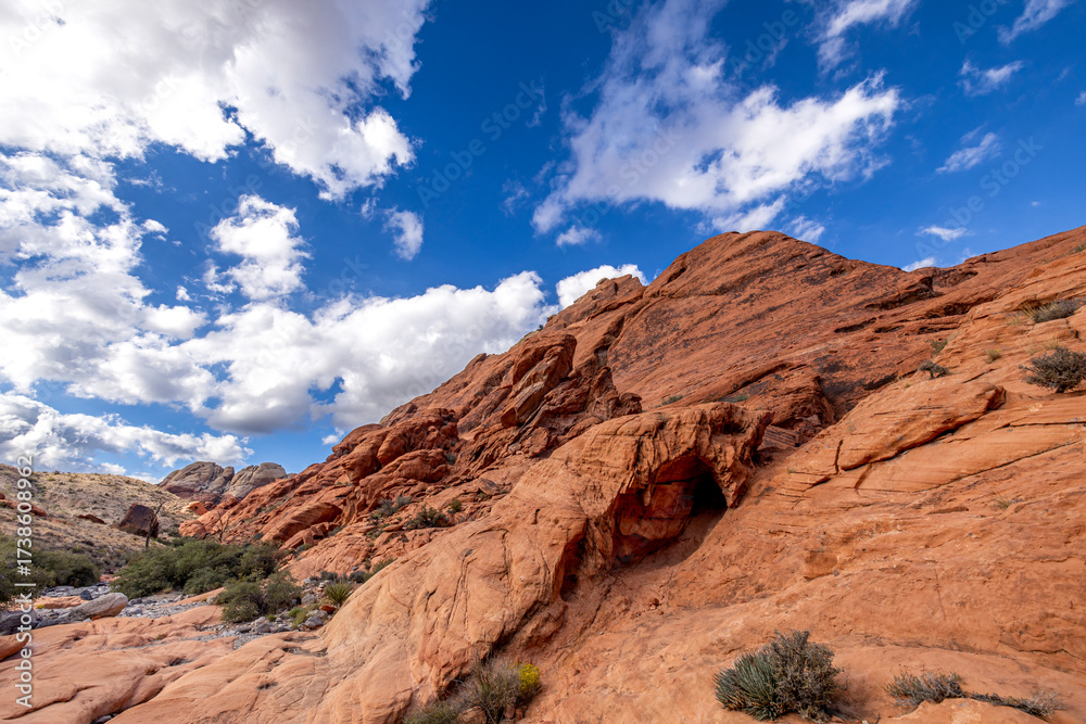 Fototapeta premium Red Rock Canyon