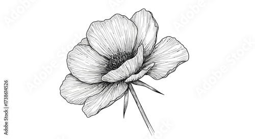 Blue snowflake design on white background for winter themes