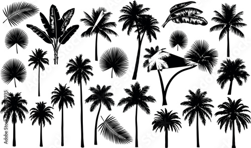 Black Silhouette Palm Trees and Tropical Leaves Collection for Exotic Nature, Jungle, Summer, Beach, Botanical, and Landscape Design Themes