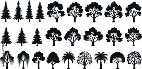 Black Tree Silhouettes Collection Featuring Coniferous, Deciduous, Palm, and Ornamental Tree Shapes for Nature, Design, and Educational Use