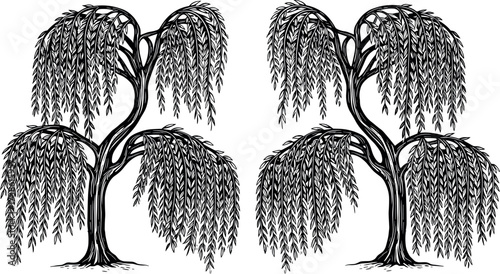 Elegant willow tree vector illustration with drooping branches and cascading leaves, perfect for nature themes, landscape design, and botanical art.