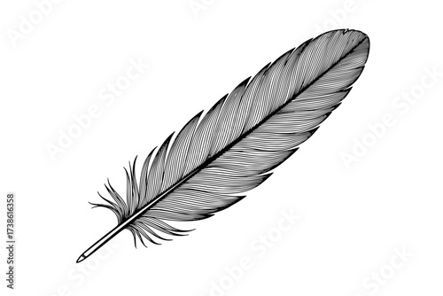 Black Vector Silhouette: Single Feather with Delicate Vanes	