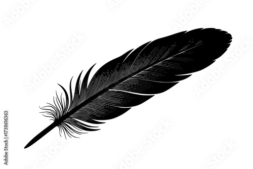 Black Vector Silhouette: Single Feather with Delicate Vanes	