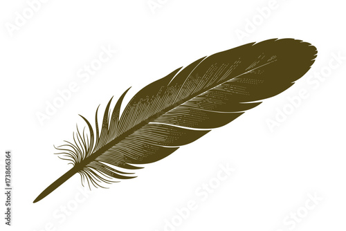 Black Vector Silhouette: Single Feather with Delicate Vanes	