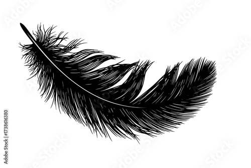 Black Vector Silhouette: Single Feather with Delicate Vanes	