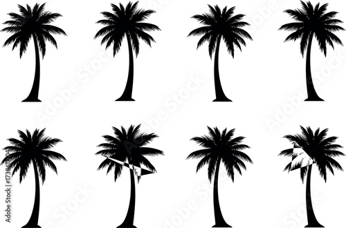 Palm tree silhouettes with climbers harvesting coconuts using rope harnesses, tropical farming activity, black vector icons for agriculture concept