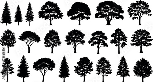 Tree silhouette collection featuring diverse forest species, botanical shapes, natural foliage forms, landscape elements, and seasonal vegetation for design use