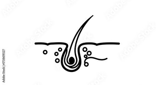 Minimalist linear design of hair follicle and skin with sebum