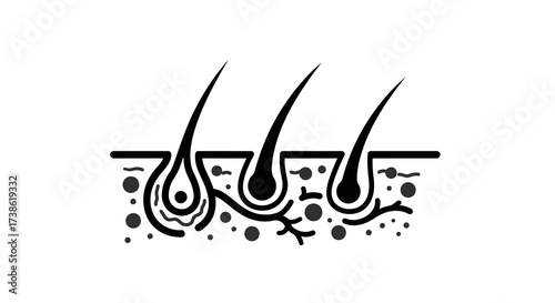 Hair follicle structure in skin with black and white minimalist design