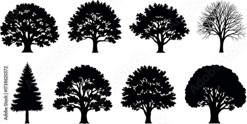 Set of eight tree silhouette icons with diverse shapes, foliage styles, and canopy structures for nature, landscape, and botanical design themes.