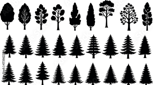 Silhouette collection of deciduous and coniferous trees with diverse shapes for forest design, landscaping, nature art, and botany projects.