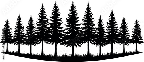 Silhouette forest landscape with pine trees, nature background, conifer woods illustration, wilderness scene, outdoor environment, black tree vector art