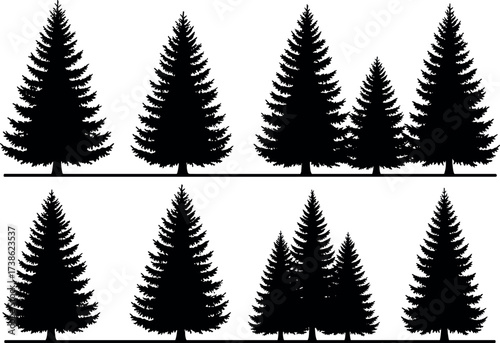 Silhouette pine trees in forest pattern, large and small conifer shapes, mirrored layout for nature, symmetry, and design concepts
