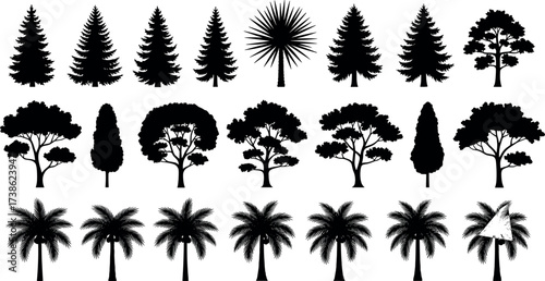 Silhouette tree collection with diverse tropical, coniferous, and broadleaf species in black vector style for nature and landscape design