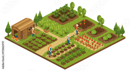 Isometric community garden with farmers harvesting vegetables and fruits