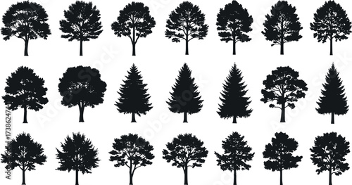Silhouettes of twenty diverse tree species in black vector style, perfect for forestry, landscape design, nature education, and botanical studies