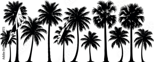 Tropical palm tree silhouettes isolated on white background for summer, beach, nature, travel, botanical, and exotic landscape design themes