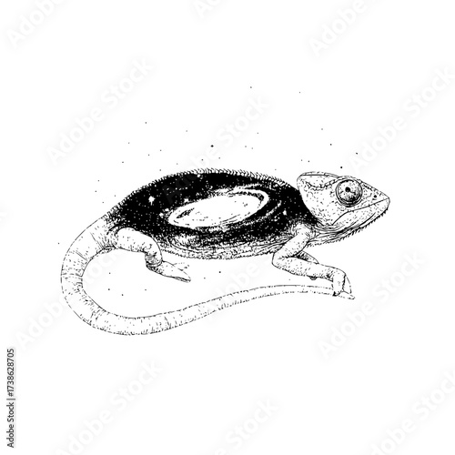Detailed chameleon drawing illustration of reptile with galaxy pattern skin design isolated on white background