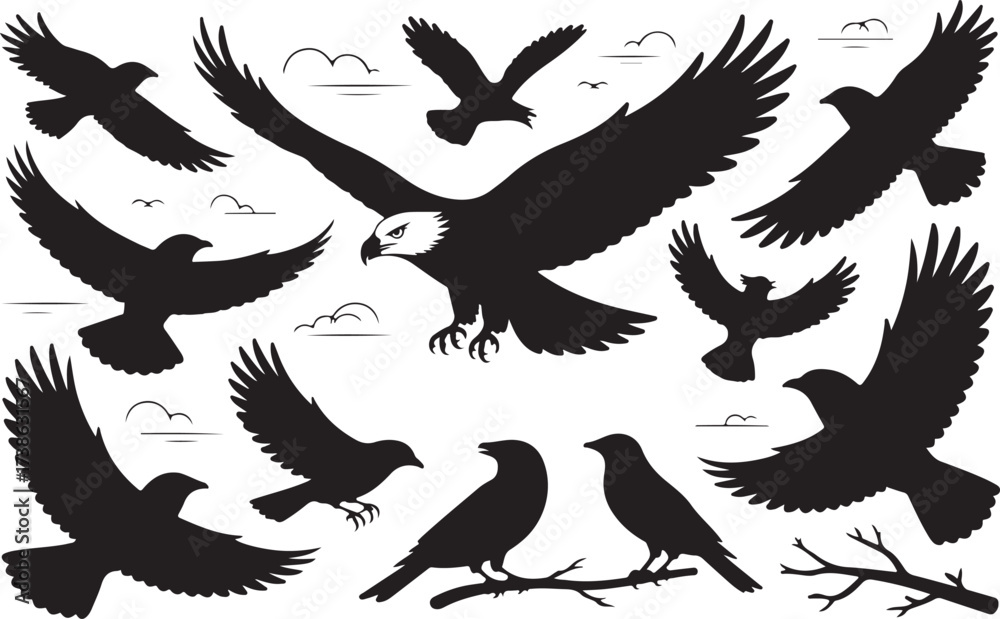 Obraz premium Silhouette of Birds in Flight