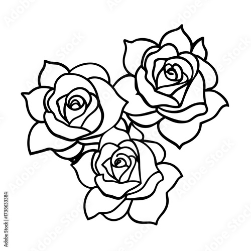 Three roaring lions line drawing vector graphic scalable black white illustration
