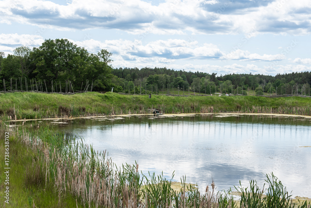 Fototapeta premium Small pond with algae and boat by grassy shore under cloudy sky
