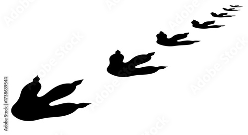 Dinosaur Footprints in Black and White