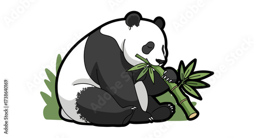 Cute giant panda eating bamboo illustration, wild animal vector, svg isolated transparent background.