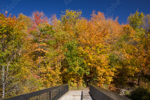 Indian summer near Quebec on a sunny day