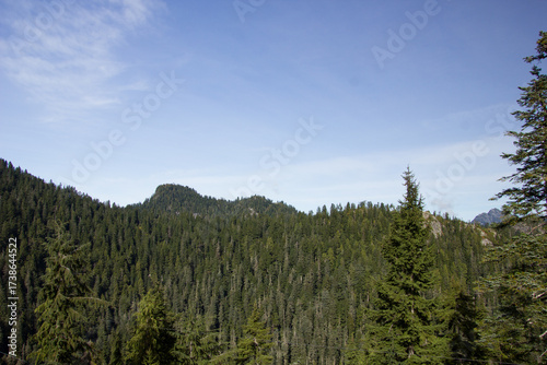 On the top of Grouse Mountain near Vancouver