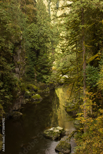 Beautiful Capilano River near Vancouver in fall