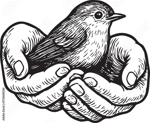 Hand-held Bird: An illustrative image depicts hands gently cupping a small bird, symbolizing care, protection, and the fragility of life.