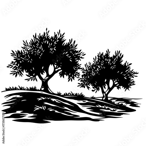 Olive grove silhouette vector – gnarled Mediterranean olive trees on rocky hill landscape