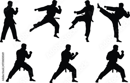 Martial arts silhouette, karate pose, taekwondo kick, fighter stance, combat training, self defense, sport job, athletic occupation