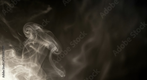 Delicate white smoke swirls gracefully, creating intricate ethereal patterns against a dark, moody background with subtle illumination, offering a mystical and abstract visual experience.
