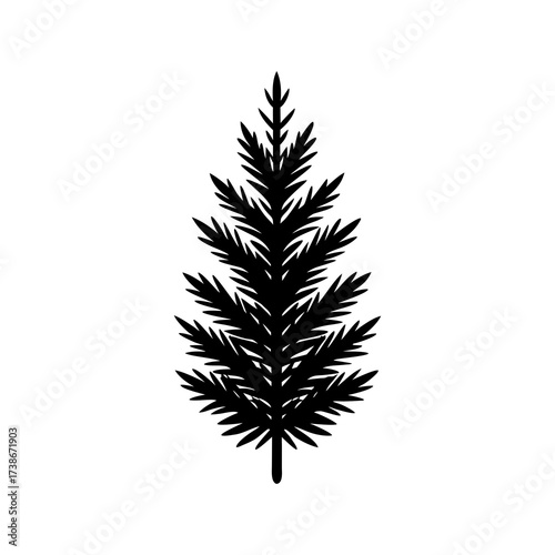 Fir branch silhouette vector on white background