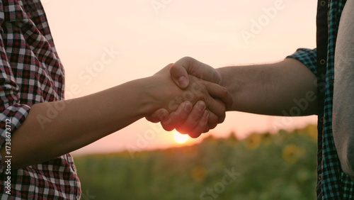 Business people shake hands on sunflower field. Team of businessmen. Farmer partners in field conclude deal, in agreement to shake hands, agreed. Handshake, people working together. Business, teamwork