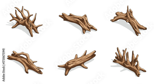 Realistic driftwood collection on white background for natural decor designs
