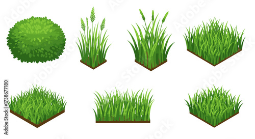 Lush green foliage and grass set in isometric style