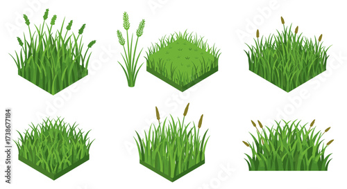 Set of isometric grass elements in various styles for landscape design