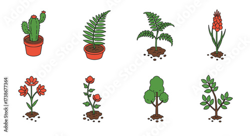 Colorful botanical collection: potted succulents, ferns, flowering plants, and trees