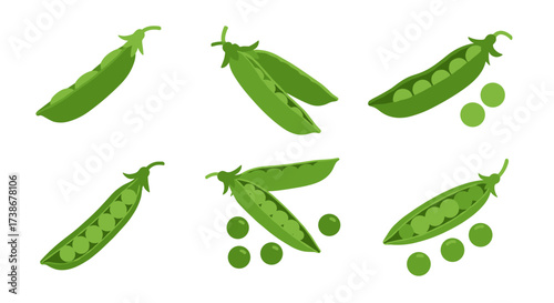 Variety of fresh green pea pods with peas on white background