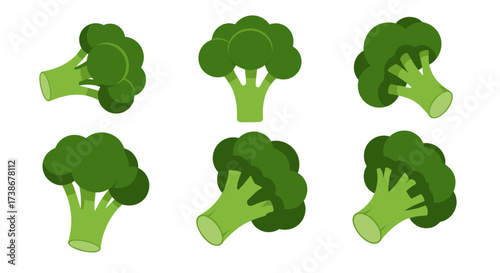 Flat style broccoli variety collection in different angles on white background