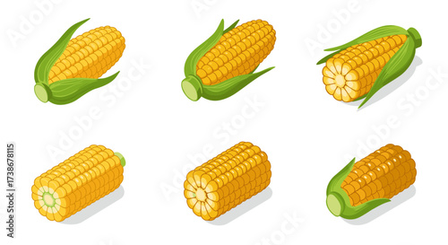 Isometric corn cob variations on white background for agricultural design