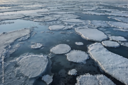 Ice floes on tranquil water surface in arctic landscape for nature and climate concepts