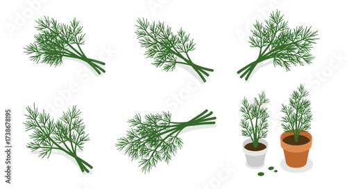 Fresh dill herb arrangements in flat design with potted plants and branches