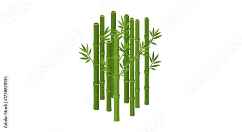 Realistic bamboo plant stalks with green leaves on white background
