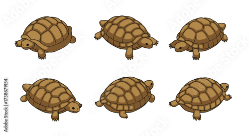 Cartoon tortoise collection on white background
