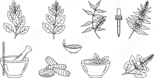 Ayurvedic herbal outline vector. Healing plants and tools in minimal black line style.
