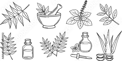 Ayurvedic herbal outline vector. Healing plants and tools in minimal black line style.
